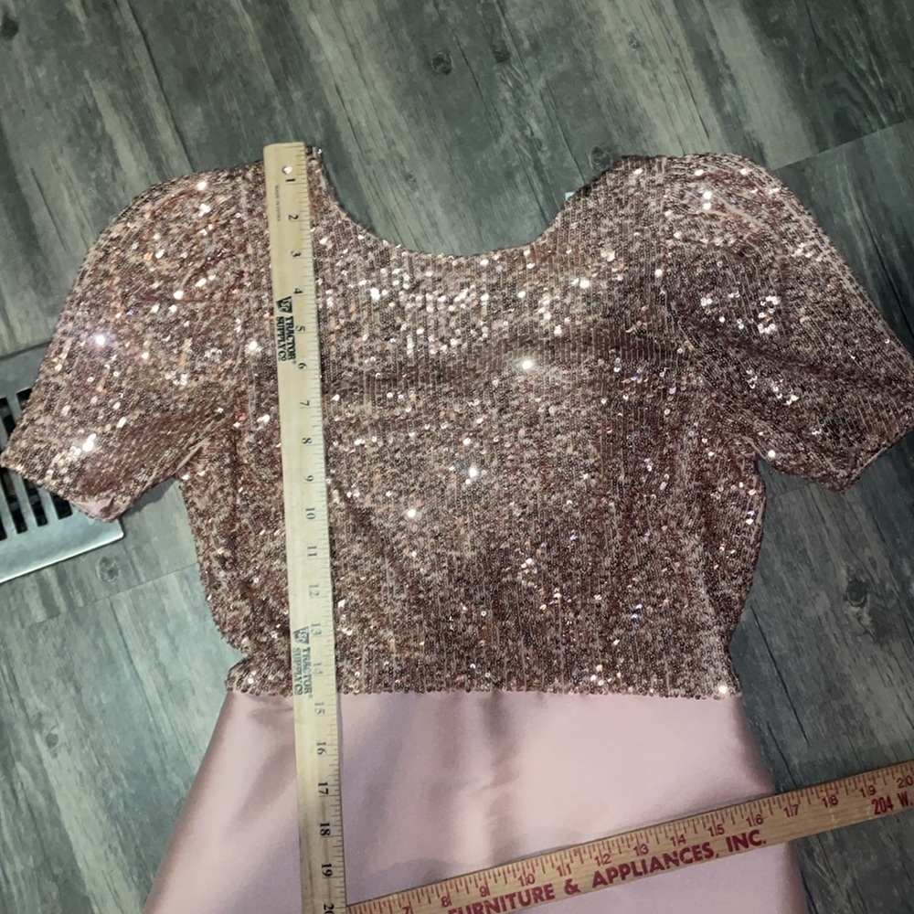 Sachin + Babi Margot Gown in blush. Size 2 - Picture 7 of 13